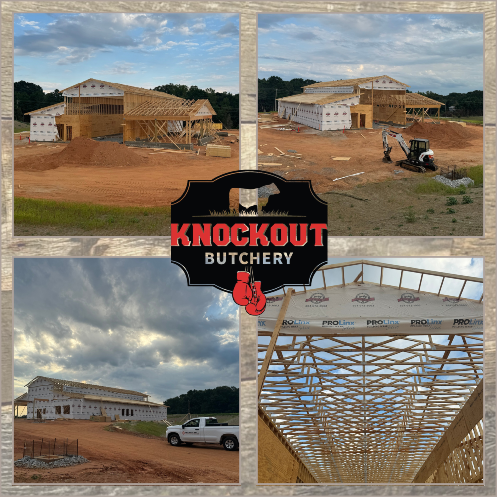 Knockout Butchery Progress Update